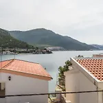 Zdravko