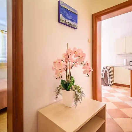 Apartamento Zdravko *