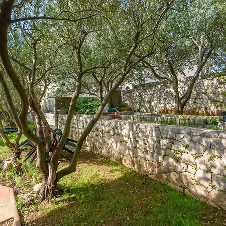 Zdravko Appartement *